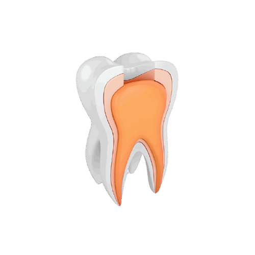 product-4 Mebido